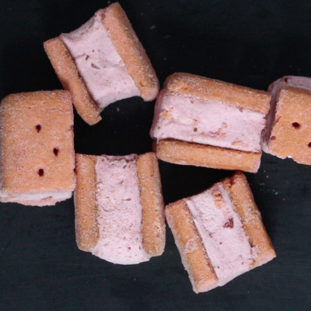 Freeze Dried Wildberry Ice Cream Sandwich