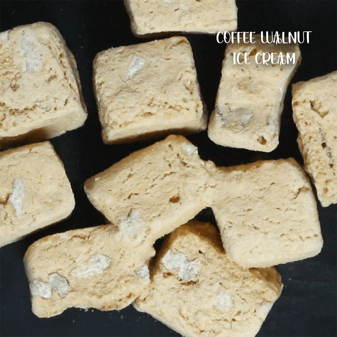 Chocobite & Coffee-Walnut Ice-Creams Snacks (20gm each)