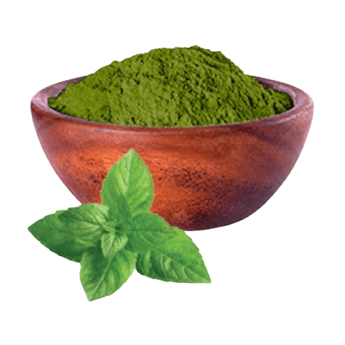 Mint Powder - 1Kg