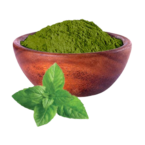 Mint Powder - 1Kg