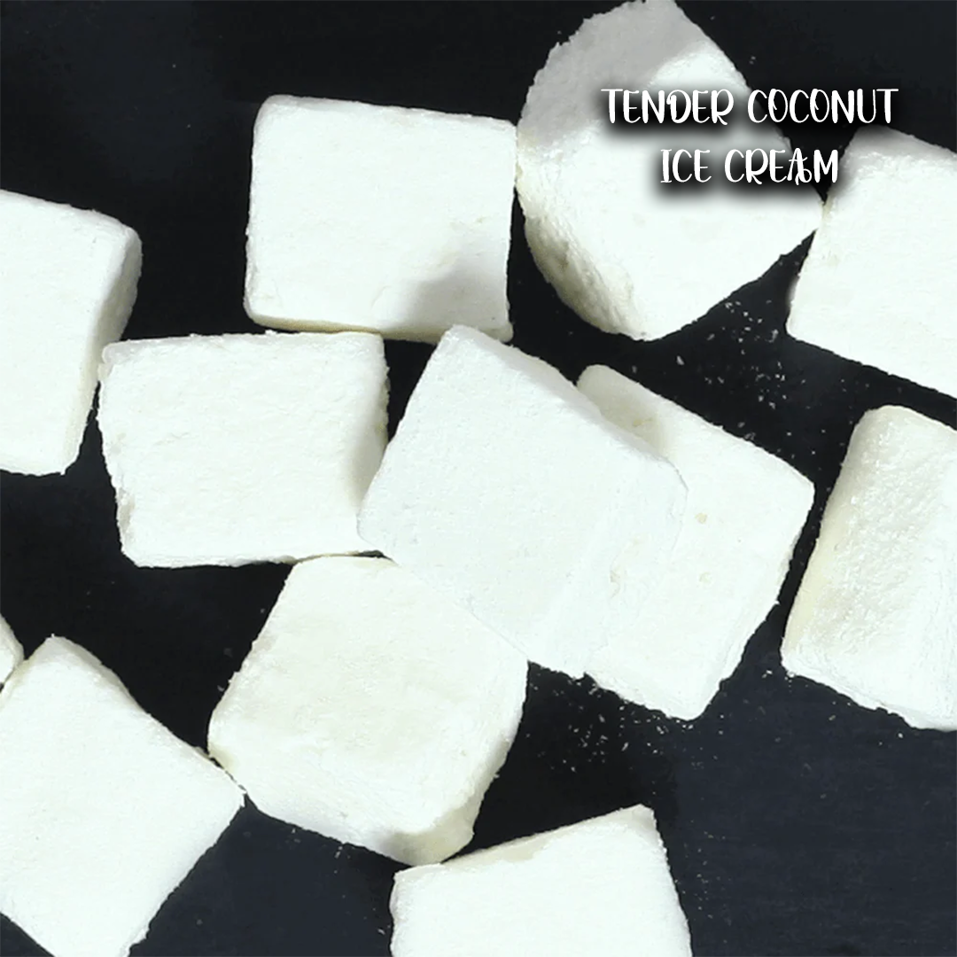 Chocobite & Coconut Ice-Cream Snack (20gm each)